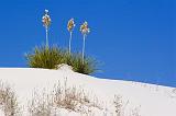 White Sands_32009